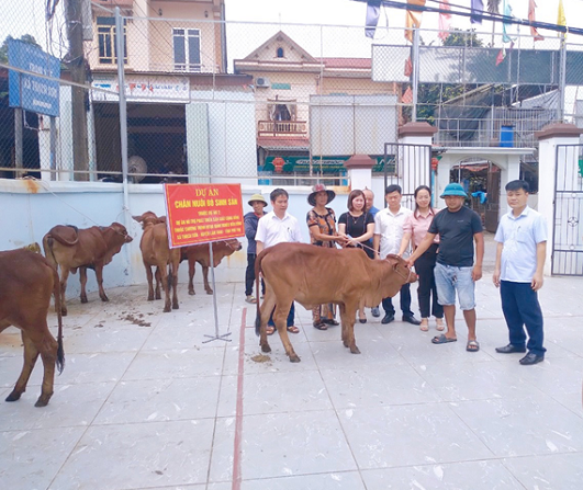 CHƯƠNG TRÌNH HỖ TRỢ PHÁT TRIỂN SẢN XUẤT CHO NÔNG DÂN  XÃ THẠCH SƠN TỪ DỰ ÁN “CHĂN NUÔI BÒ SNH SẢN”